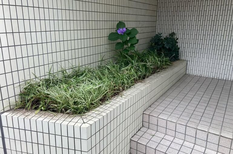 Untitled (10)