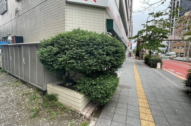 Untitled (11)