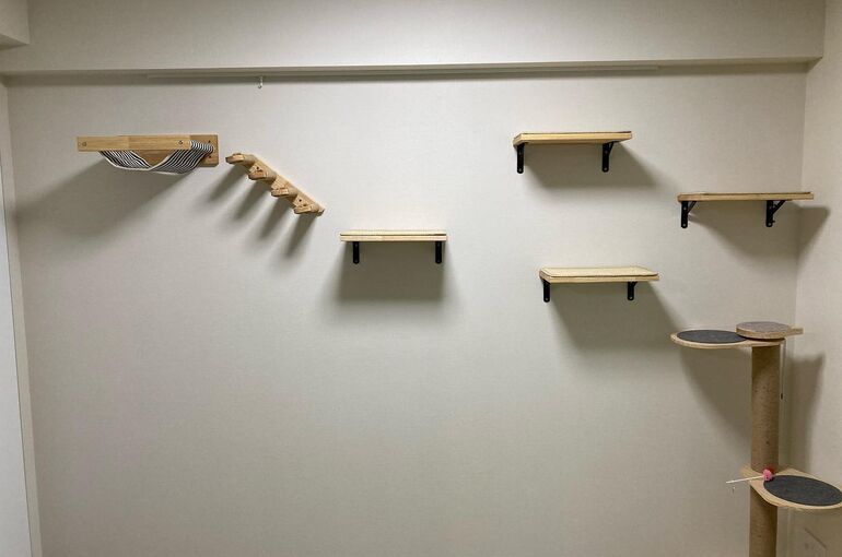 Untitled (10)