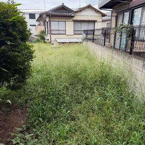 ダウンロード